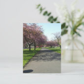 Manchester im Frühjahr Postkarte (Stehend Vorderseite)