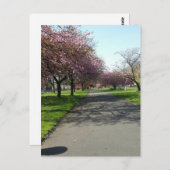 Manchester im Frühjahr Postkarte (Vorne/Hinten)