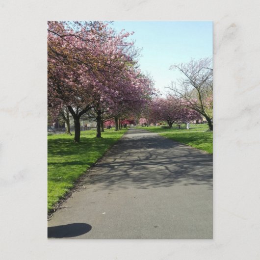 Manchester im Frühjahr Postkarte (Vorderseite)