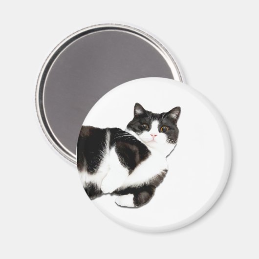 Manchester ist "Hi!" Magnet (Vorderseite/Rückseite)