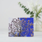 Manchester Spring Postkarte (Stehend Vorderseite)