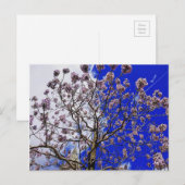 Manchester Spring Postkarte (Vorne/Hinten)