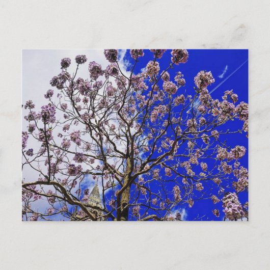 Manchester Spring Postkarte (Vorderseite)