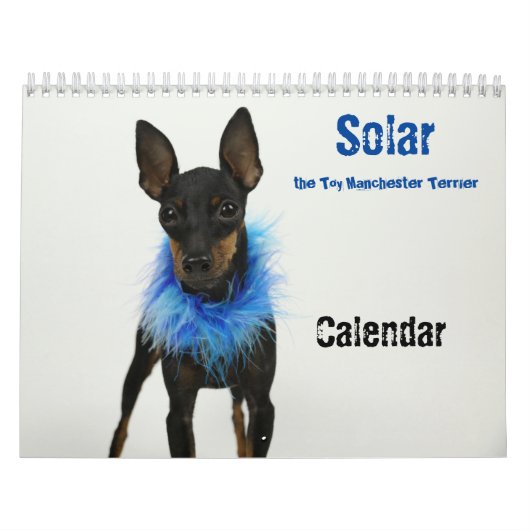 Manchester Terrier Calendar 2021 B Kalender (Titelbild)