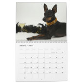 Manchester Terrier Calendar 2021 B Kalender (Jan 2027)