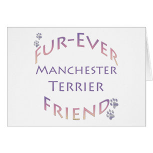 Manchester Terrier Furever