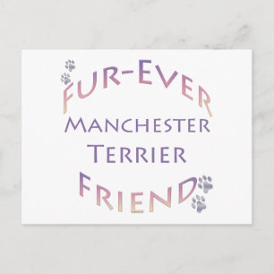Manchester Terrier Furever Postkarte
