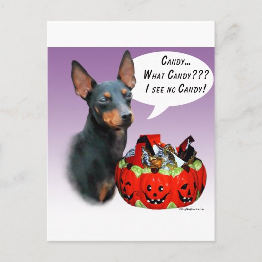 Manchester Terrier Halloween Candy Postkarte (Vorderseite)