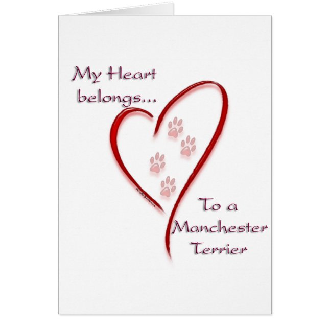 Manchester Terrier Heart Belongs (Vorne)