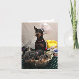 Manchester Terrier Holiday Card Karte