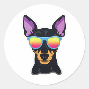 Manchester Terrier in Cooler Sonnenbrille Classic Runder Aufkleber
