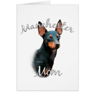 Manchester Terrier Mama 2