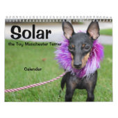 Manchester Terrier Medium 2021 Kalender A (Titelbild)