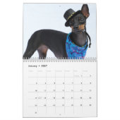 Manchester Terrier Medium 2021 Kalender A (Jan 2027)