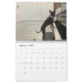 Manchester Terrier Medium 2021 Kalender A (Feb 2027)