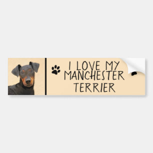 Manchester Terrier Painting Original Animal Art Autoaufkleber