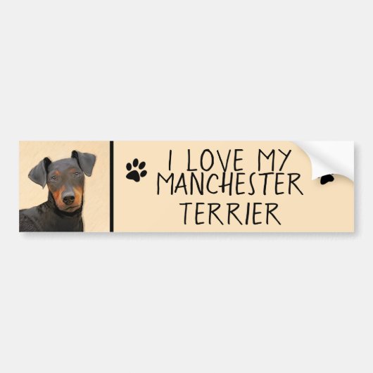 Manchester Terrier Painting Original Animal Art Autoaufkleber (Vorne)