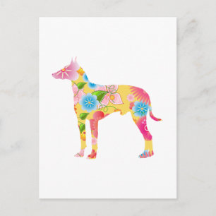 Manchester Terrier Postkarte