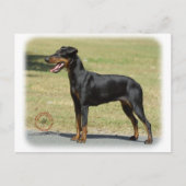Manchester Terrier Postkarte (Vorderseite)