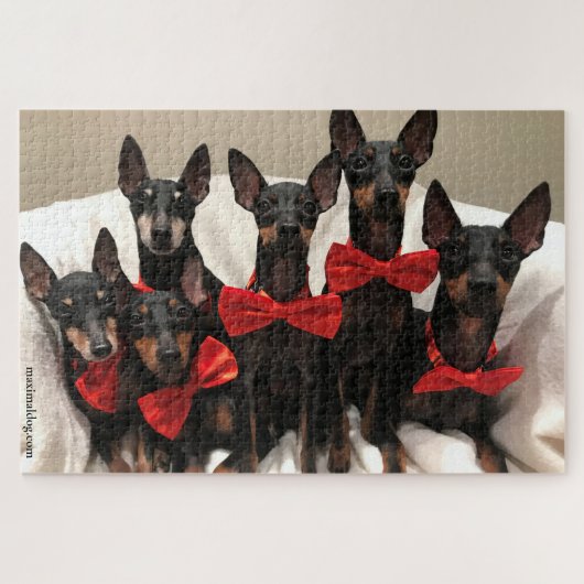 Manchester Terrier Puzzle - 1.000 Stück (Horizontal)