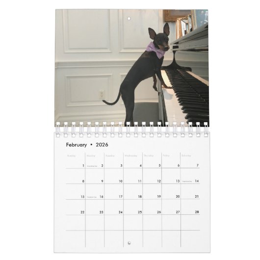 Manchester Terrier Small 2021 Kalender A (Feb 2026)