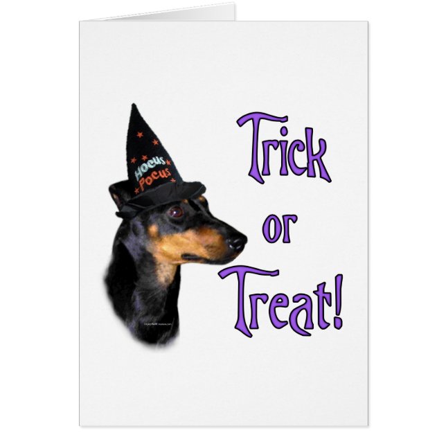 Manchester Terrier Trick (Vorne)