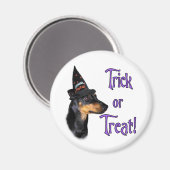 Manchester Terrier Trick Magnet (Vorderseite/Rückseite)