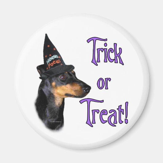 Manchester Terrier Trick Magnet (Vorne)