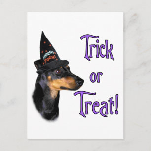 Manchester Terrier Trick Postkarte