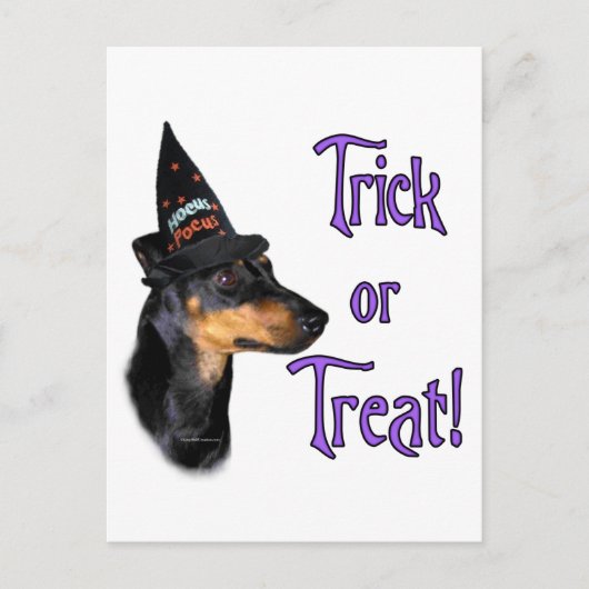 Manchester Terrier Trick Postkarte (Vorderseite)