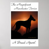 Manchester Terrier Unique Poster (Vorne)