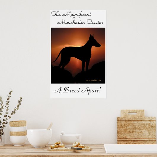 Manchester Terrier Unique Poster (Küche)