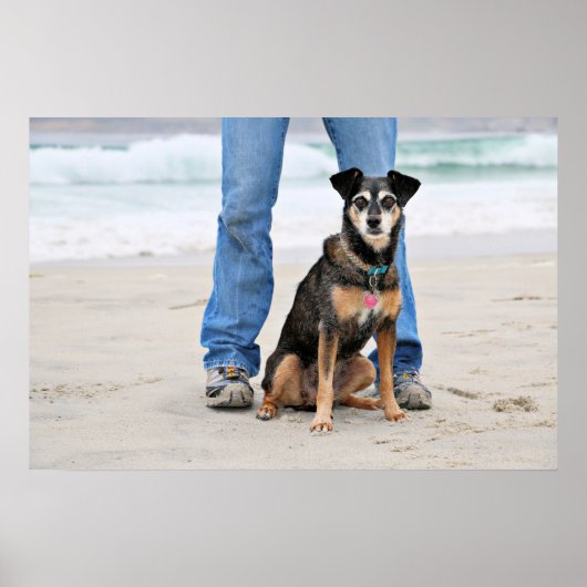 Manchester Terrier X - Jordanien - Derr Poster (Vorne)