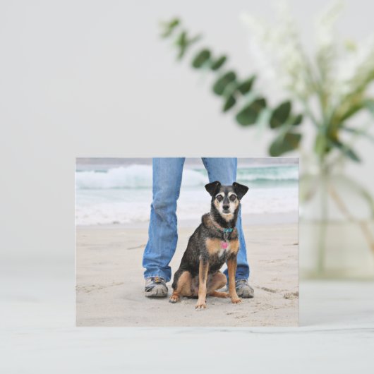 Manchester Terrier X - Jordanien - Derr Postkarte (Stehend Vorderseite)