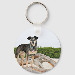 Manchester Terrier X - Jordanien - Derr Schlüsselanhänger