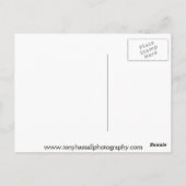 Manchester Urbis Postkarte (Rückseite)