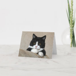 Manchester-Wangenkarte Karte