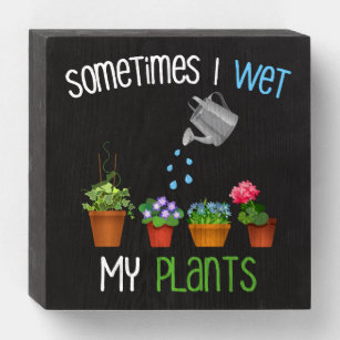 Manchmal habe ich meine Pflanze im Gewittergarten Holzkisten Schild