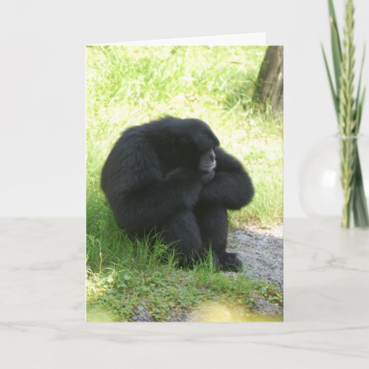 Manchmal haben sogar Affen schlechte Tage Karte (Vorderseite)