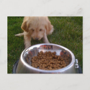 Manchmal ist es schwierig, Ihre Erwartungen zu erf Postkarte