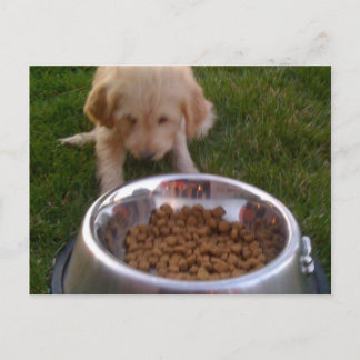 Manchmal ist es schwierig, Ihre Erwartungen zu erf Postkarte