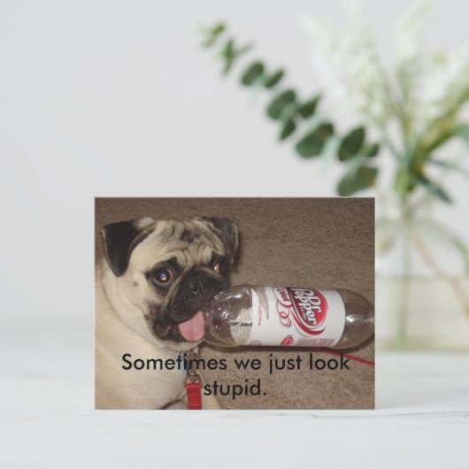 Manchmal sehen wir einfach dumm aus. Postkarten (Stehend Vorderseite)