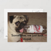 Manchmal sehen wir einfach dumm aus. Postkarten (Vorne/Hinten)