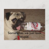 Manchmal sehen wir einfach dumm aus. Postkarten (Vorderseite)