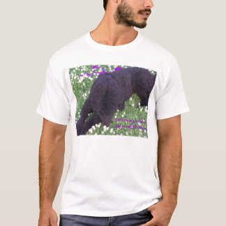 Manchmal Sie hav… T-Shirt