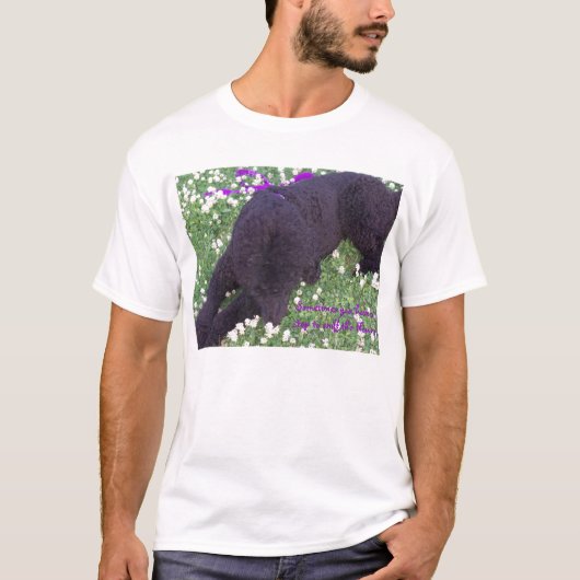 Manchmal Sie hav… T-Shirt (Vorderseite)