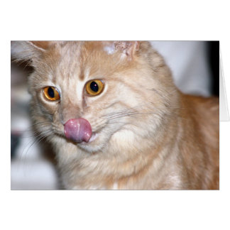 Manchmal versuche ich normal zu sein