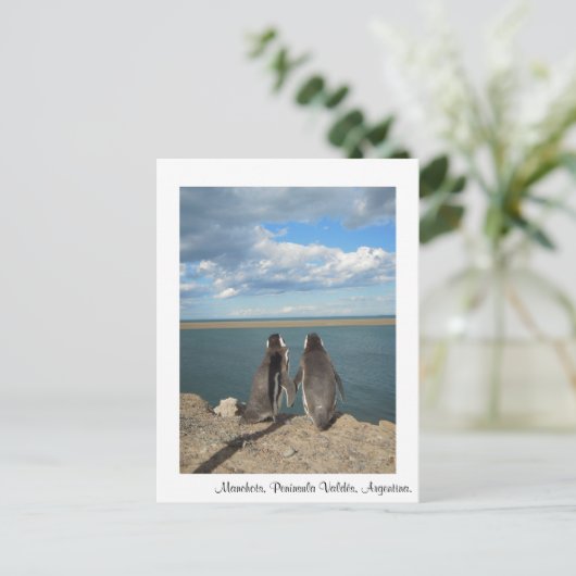 Manchos Postkarte (Stehend Vorderseite)