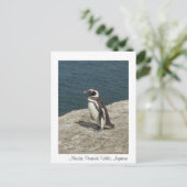 Manchot Postkarte (Stehend Vorderseite)