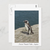 Manchot Postkarte (Vorne/Hinten)